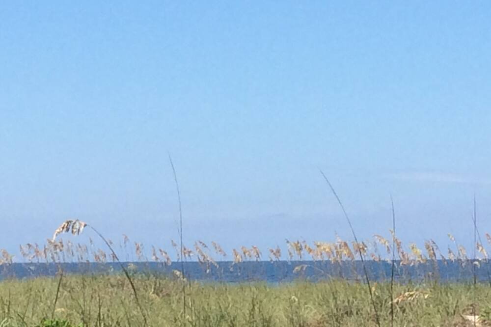 Photo of Others in Fernandina Beach