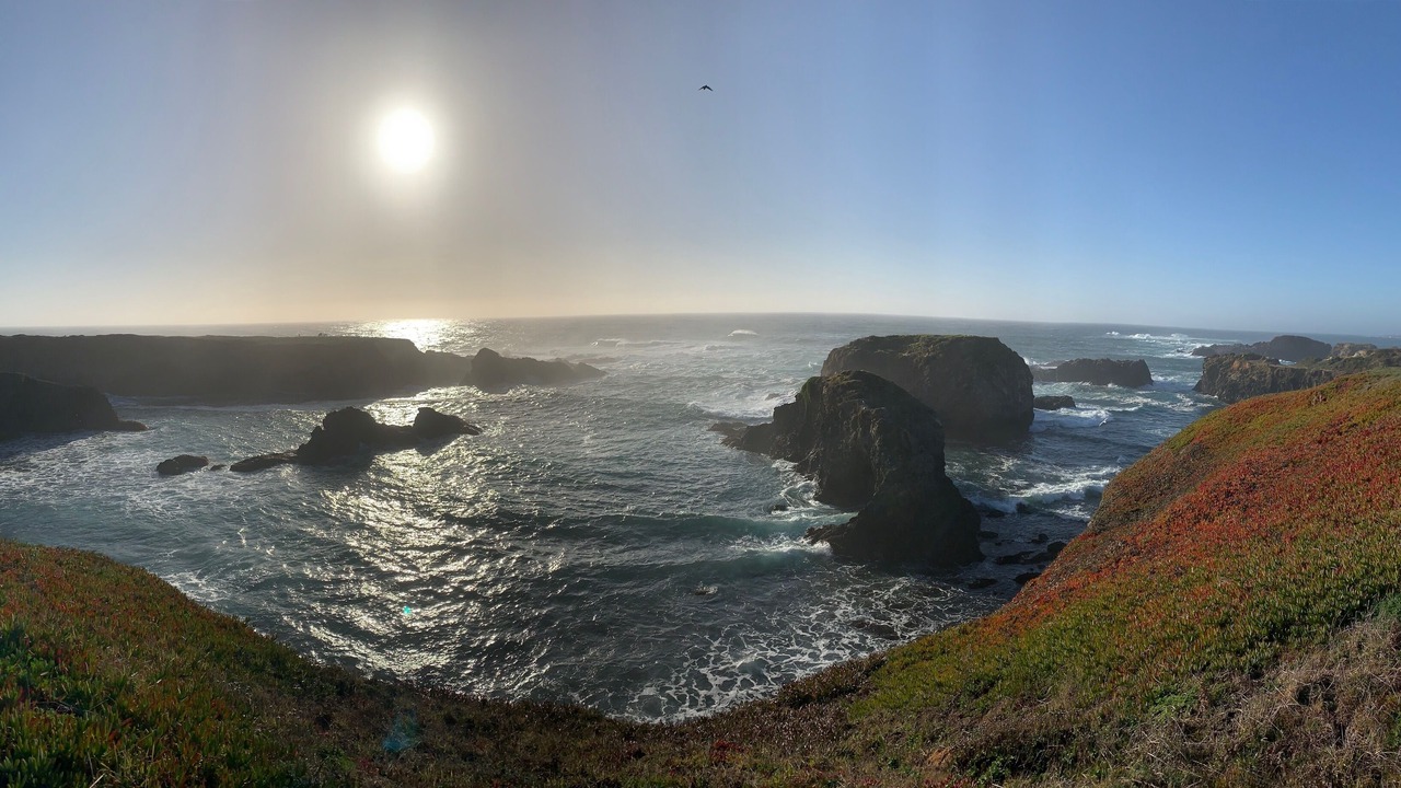 Photo of Others in Mendocino