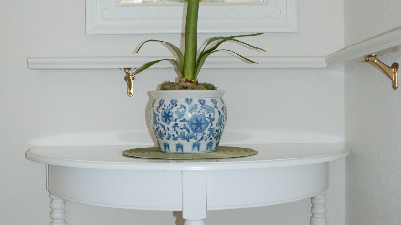 Photo of Others in Mendocino