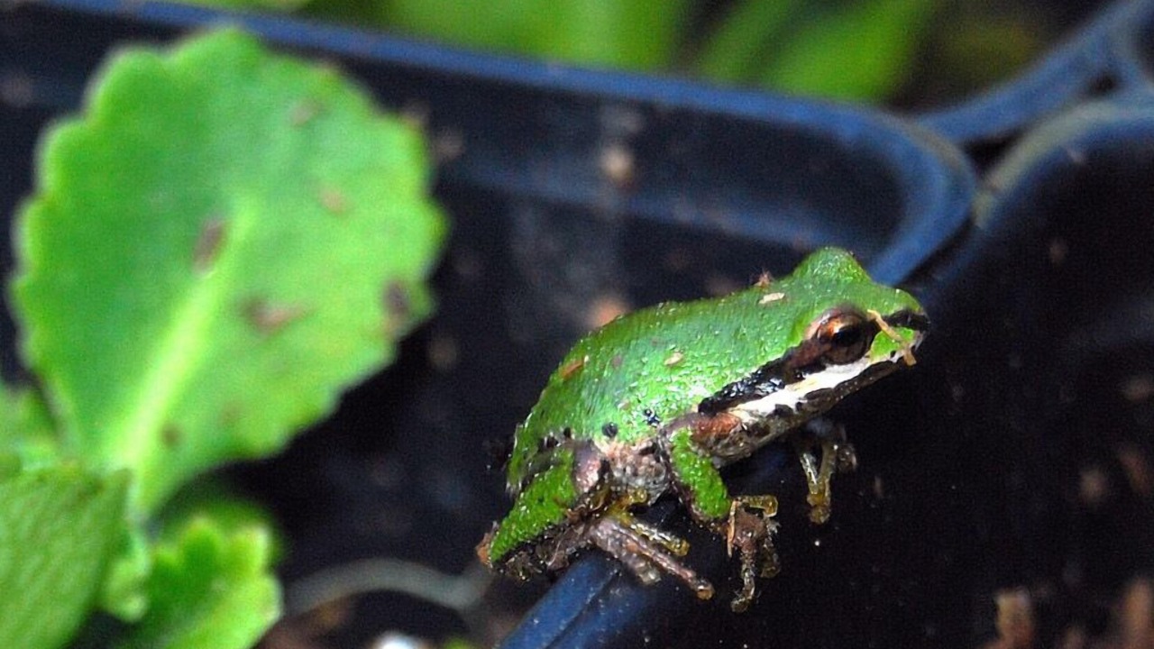 Photo of Outdoor in Mendocino