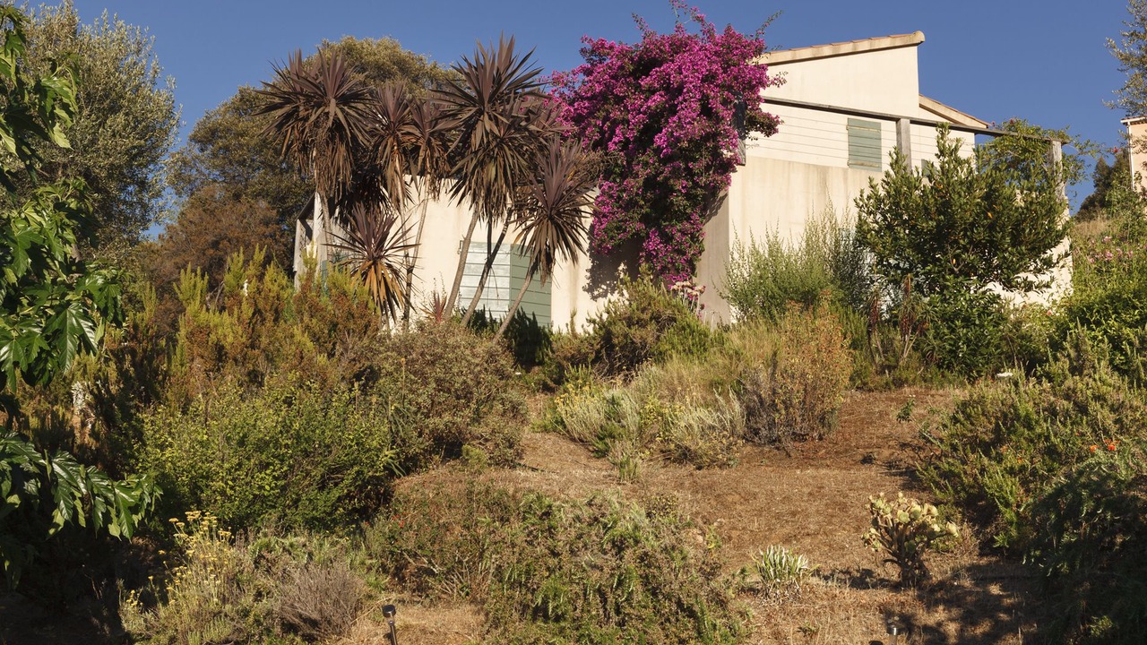 Photo of Outdoor in Calcatoggio