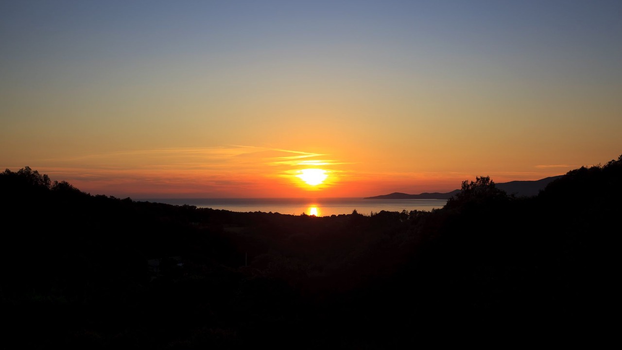 Photo of Others in Calcatoggio