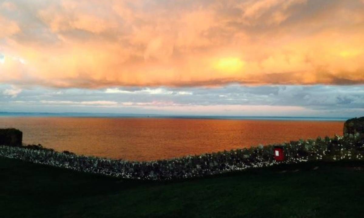 Photo of Others in Brixham