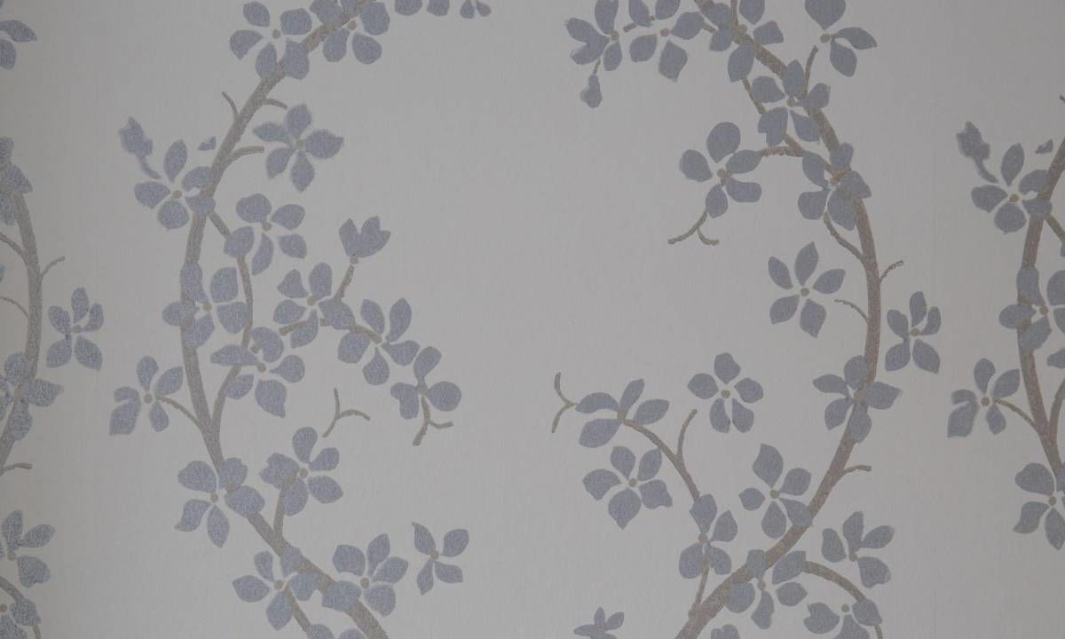 Photo of Others in Brixham