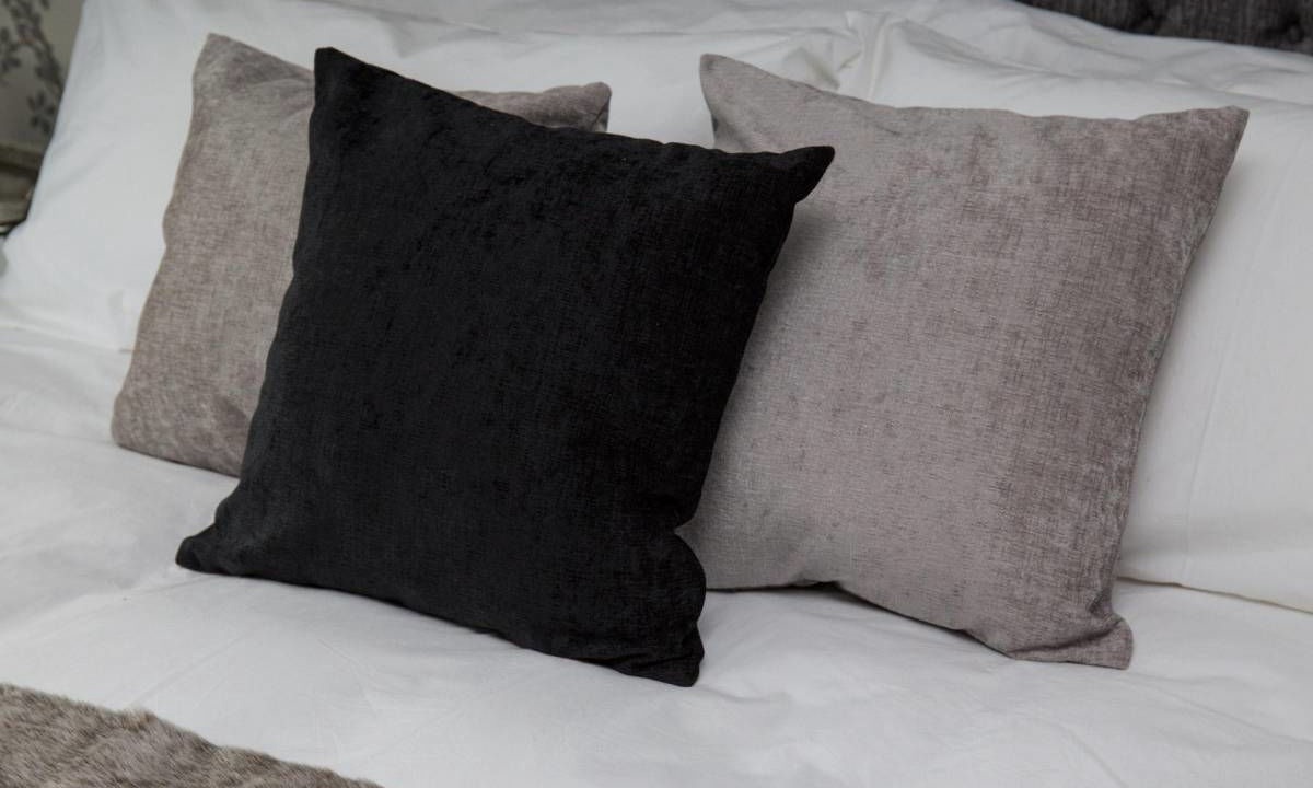 Photo of Others in Brixham