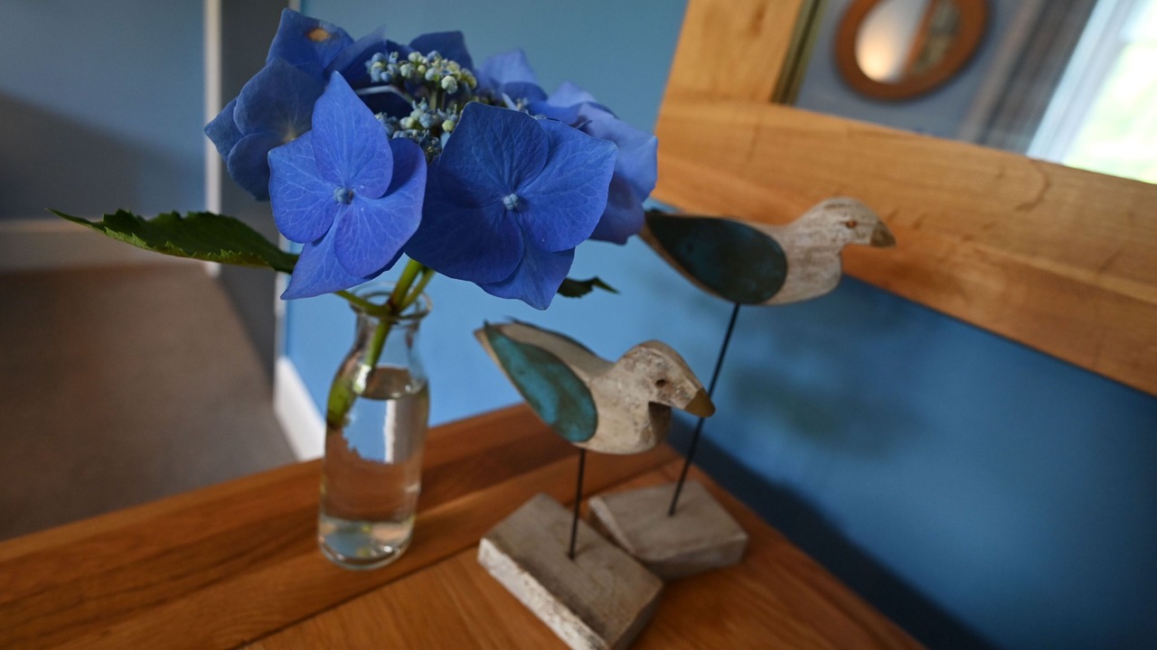 Photo of Others in Corris