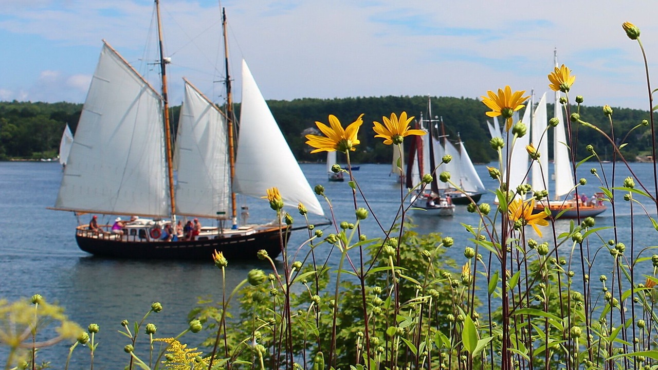 Photo of Outdoor in Mahone Bay