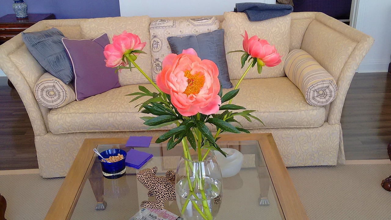 Photo of Others in Mahone Bay