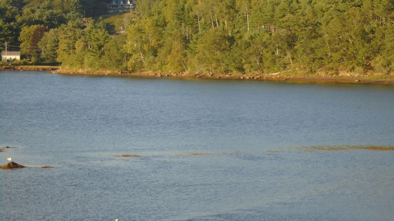 Photo of Others in Mahone Bay