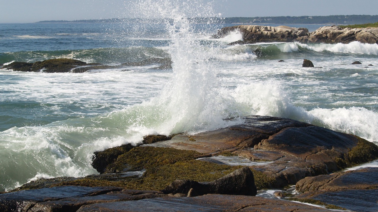 Photo of Others in Mahone Bay
