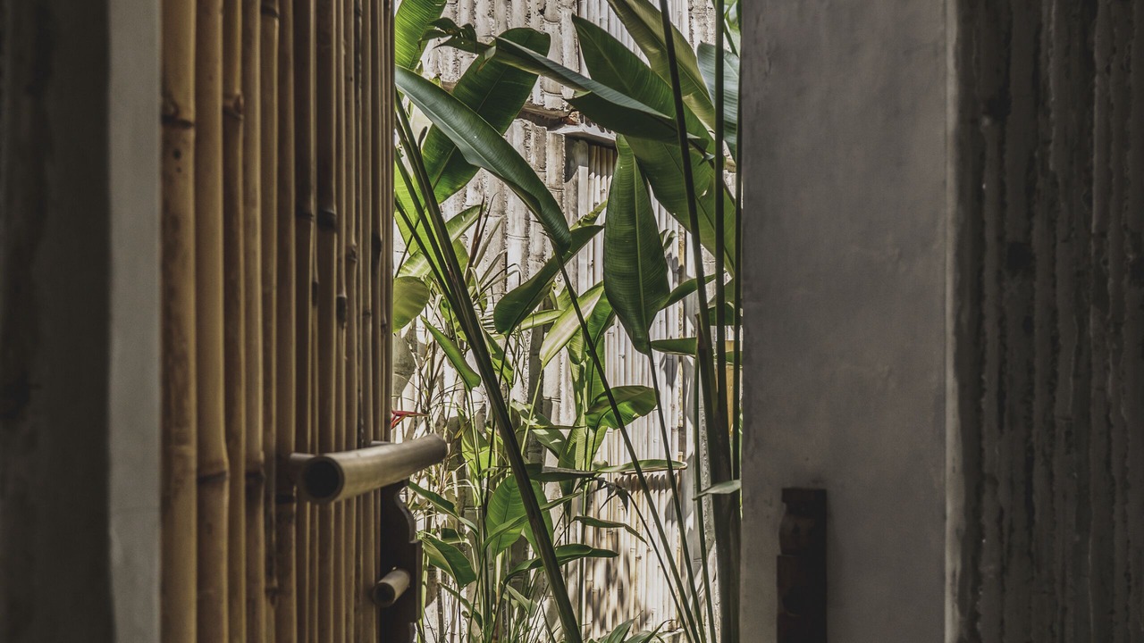 Photo of Outdoor in Tejakula