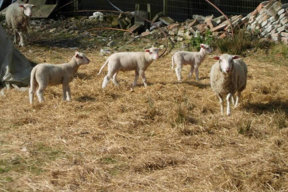 Photo of Outdoor in Blaignac