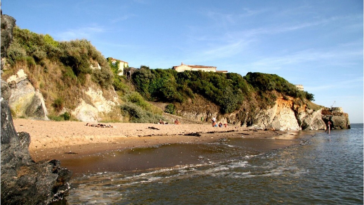 Photo of Others in La Rogere