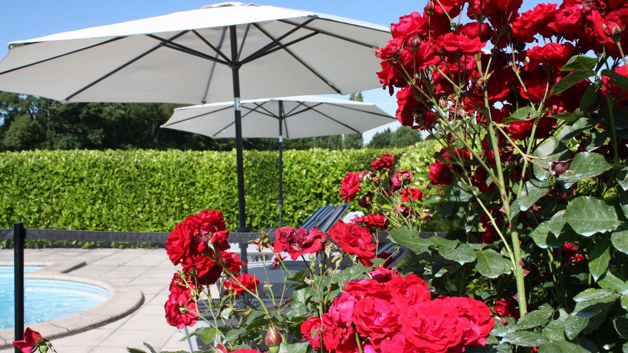 Photo of Outdoor in Leoville