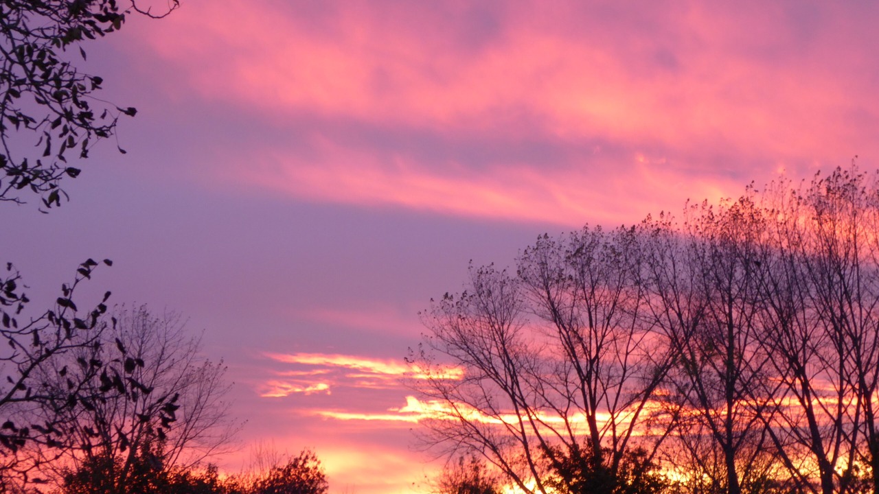 Photo of Outdoor in Leoville