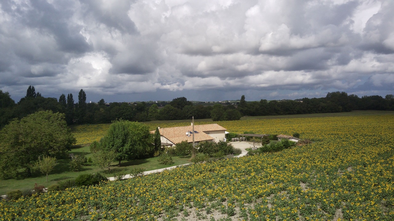 Photo of Others in Leoville