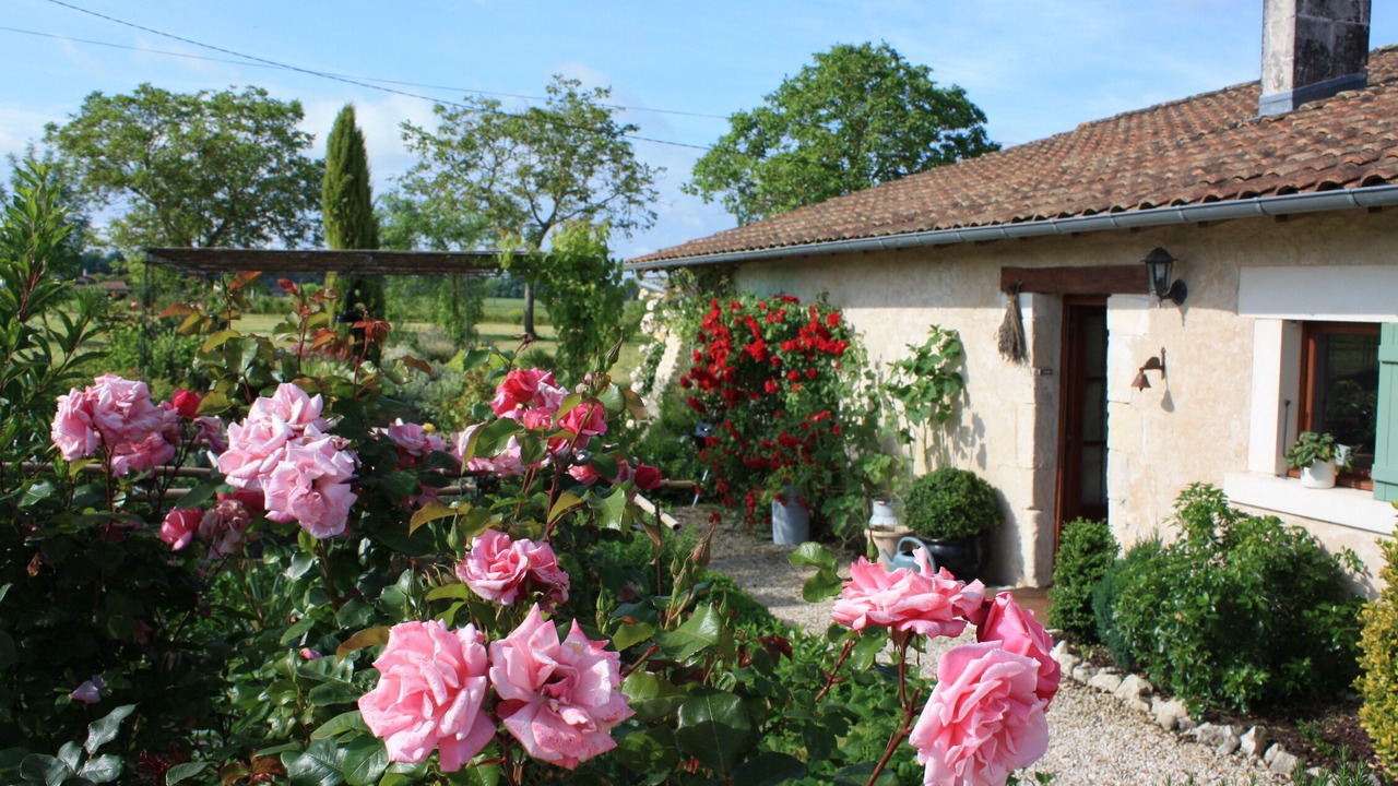 Photo of Outdoor in Leoville