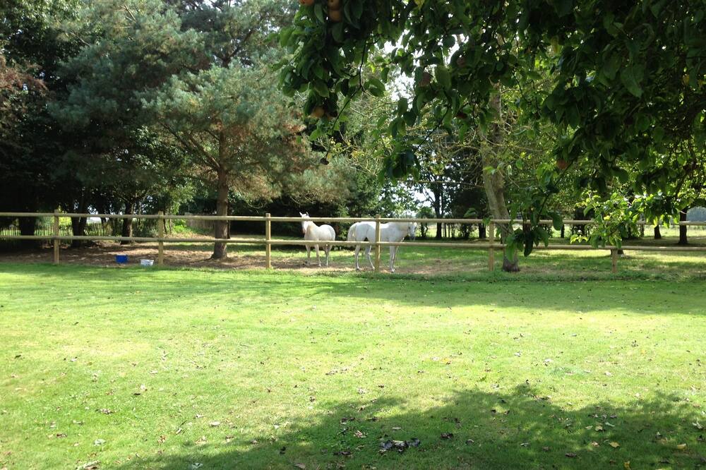 Photo of Outdoor in Plouer-sur-Rance