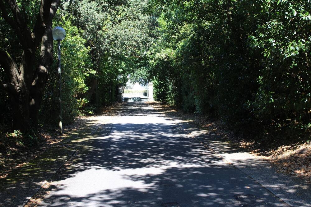 Photo of Outdoor in Guerande