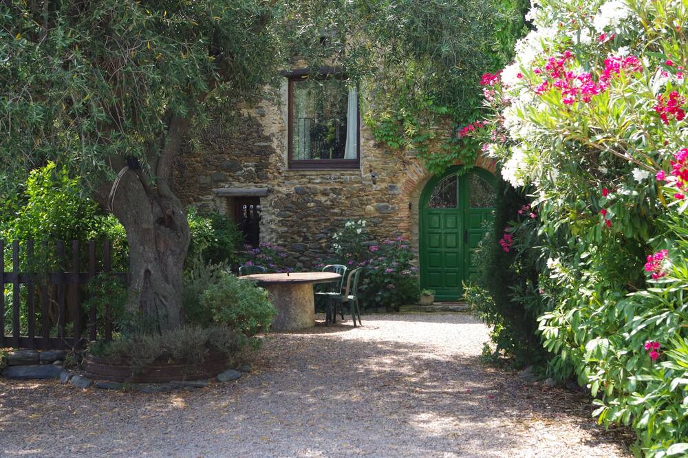 Photo of Others in Rigarda