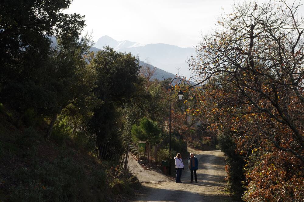 Photo of Others in Rigarda