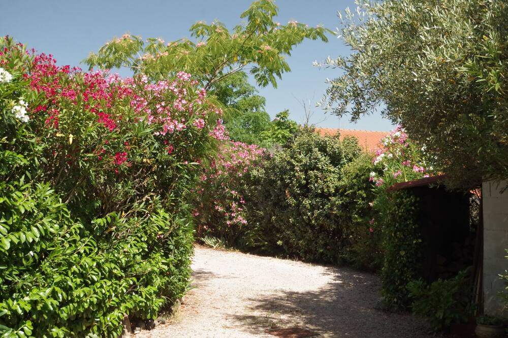 Photo of Others in Rigarda
