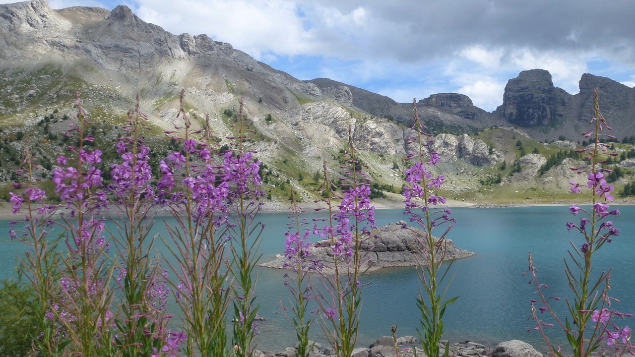 Photo of Others in Entraunes