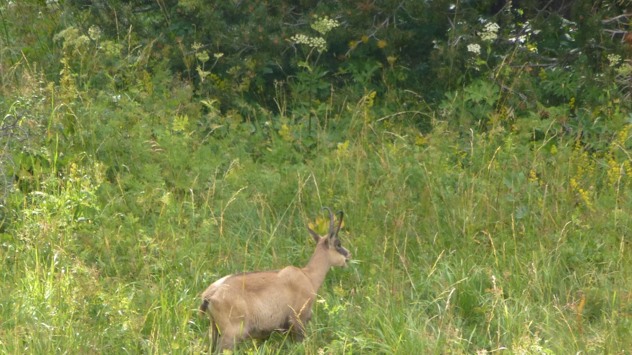 Photo of Outdoor in Entraunes