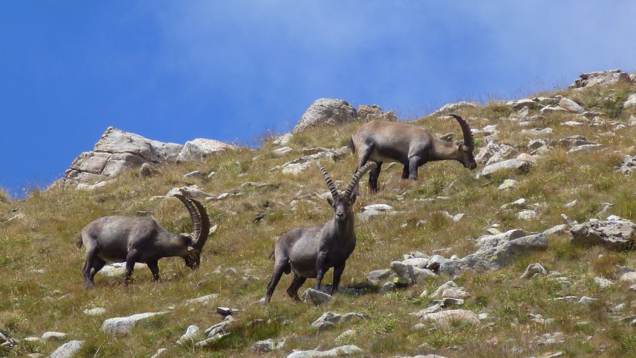 Photo of Outdoor in Entraunes