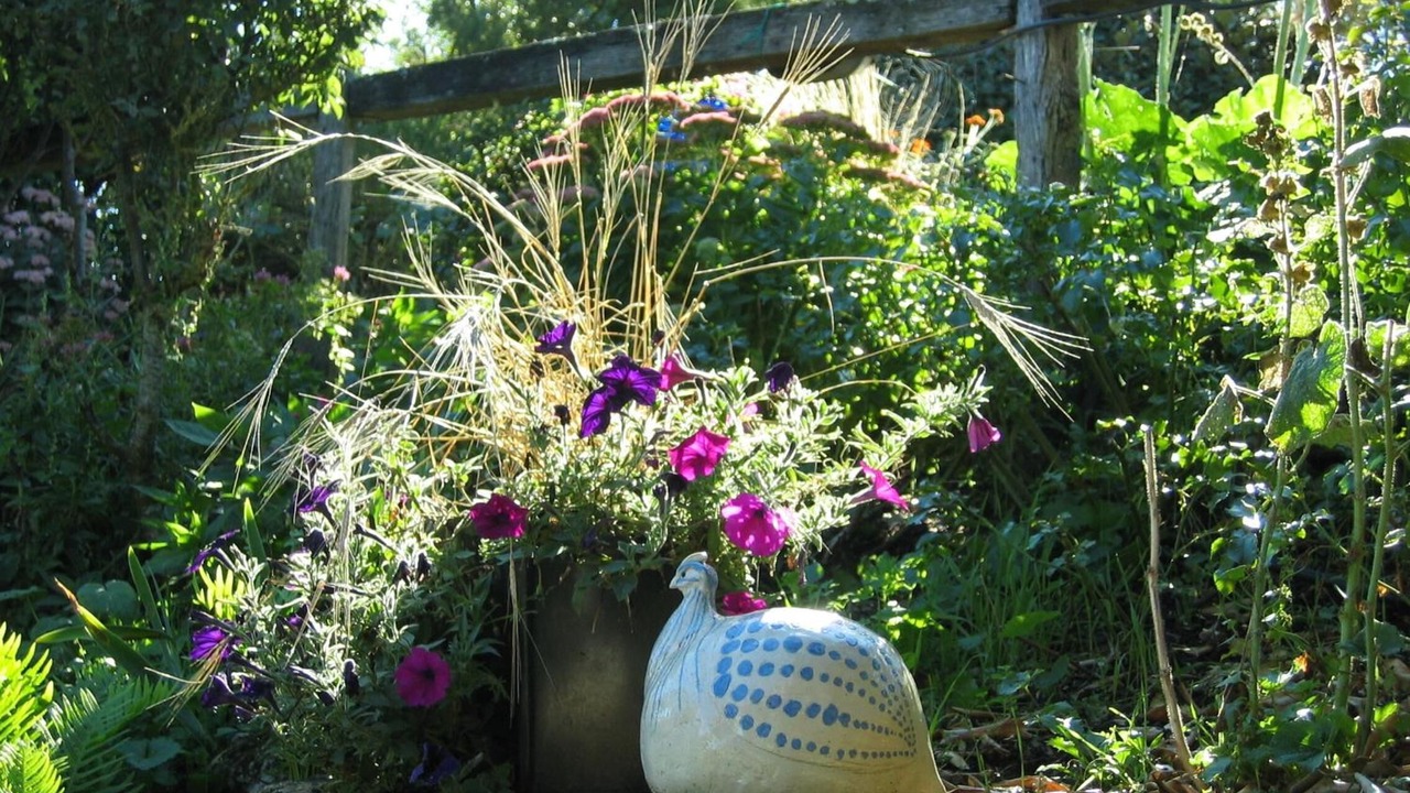 Photo of Outdoor in Rochefort-sur-Loire