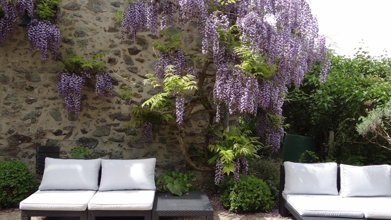 Photo of Outdoor in Rochefort-sur-Loire