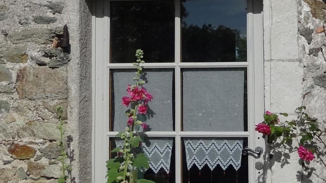 Photo of Outdoor in Rochefort-sur-Loire