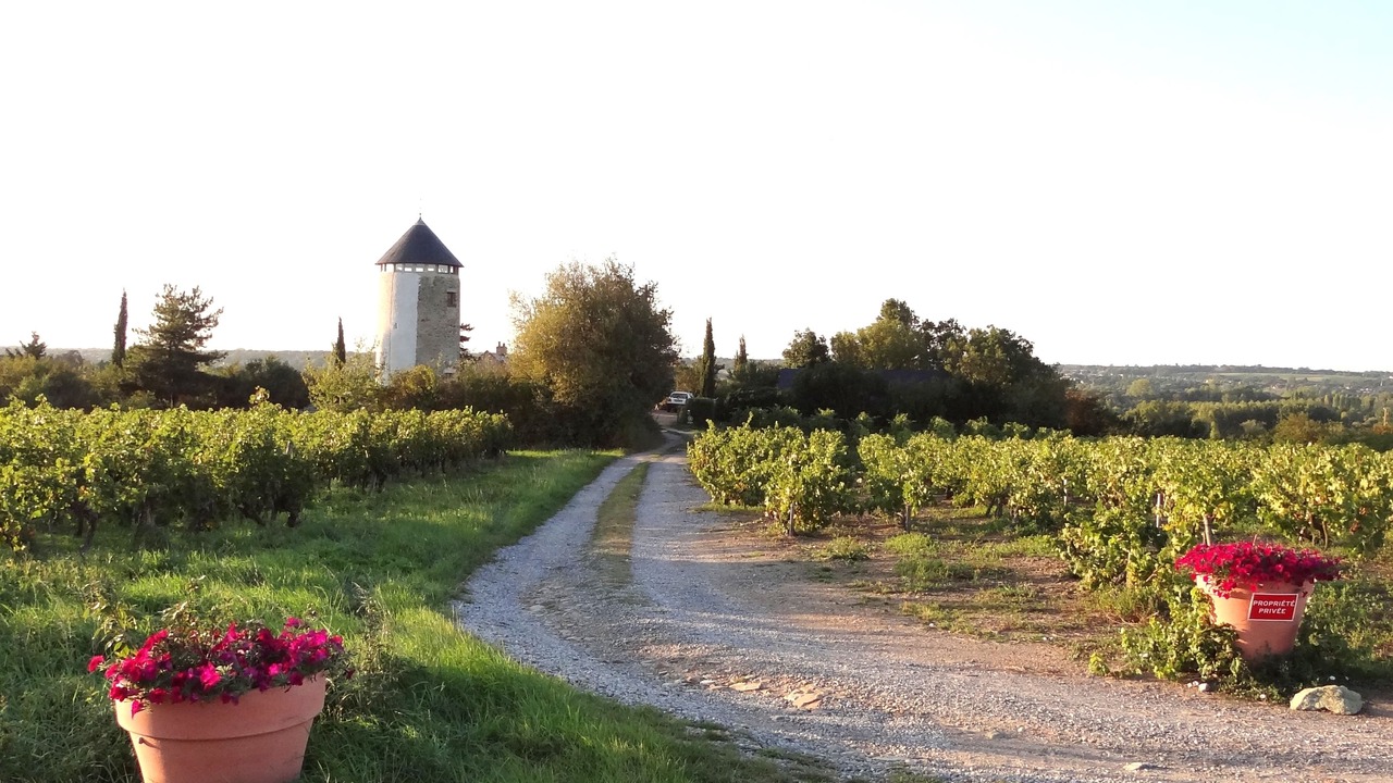 Photo of Outdoor in Rochefort-sur-Loire