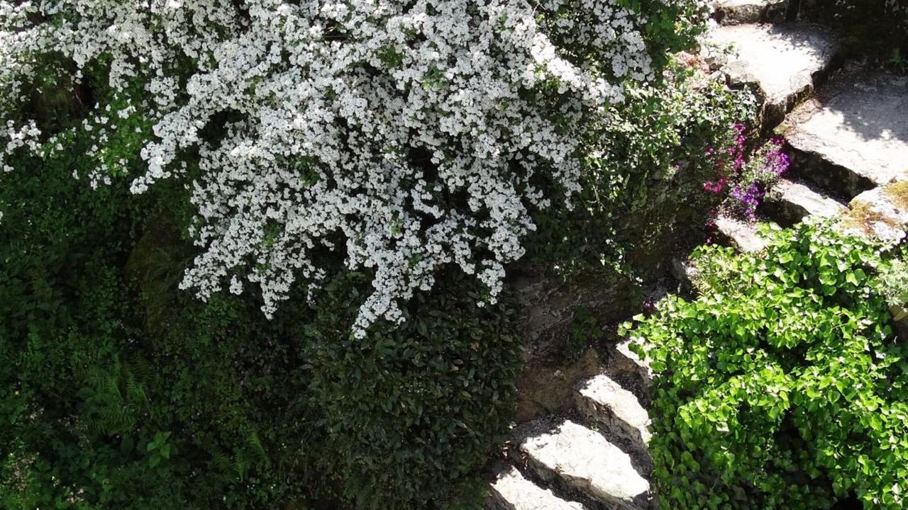 Photo of Outdoor in Rochefort-sur-Loire