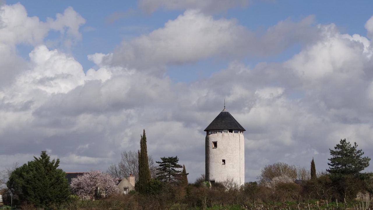 Photo of Outdoor in Rochefort-sur-Loire