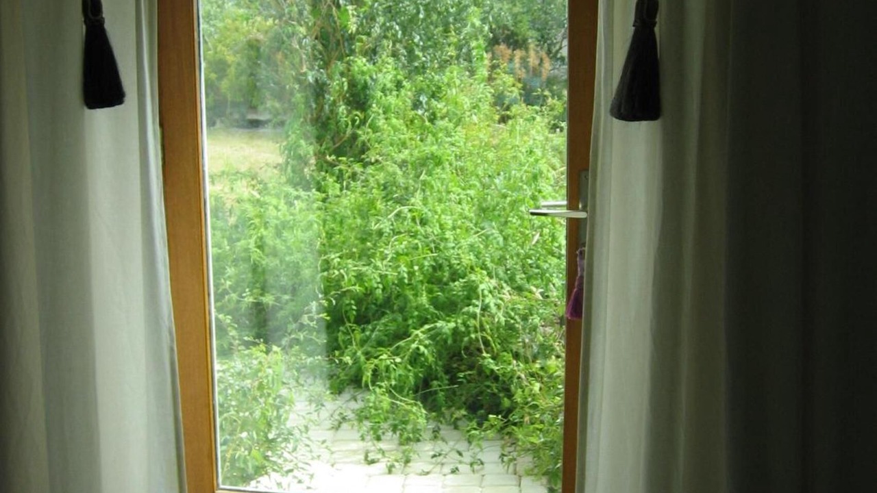 Photo of Others in Rochefort-sur-Loire