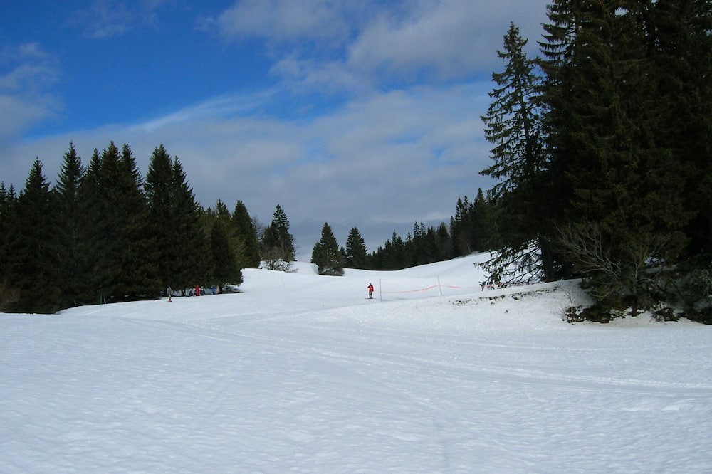 Photo of Others in Grande-Riviere