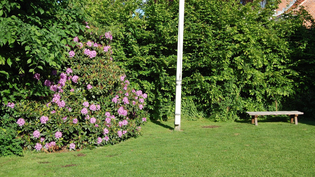 Photo of Outdoor in Gentofte Municipality