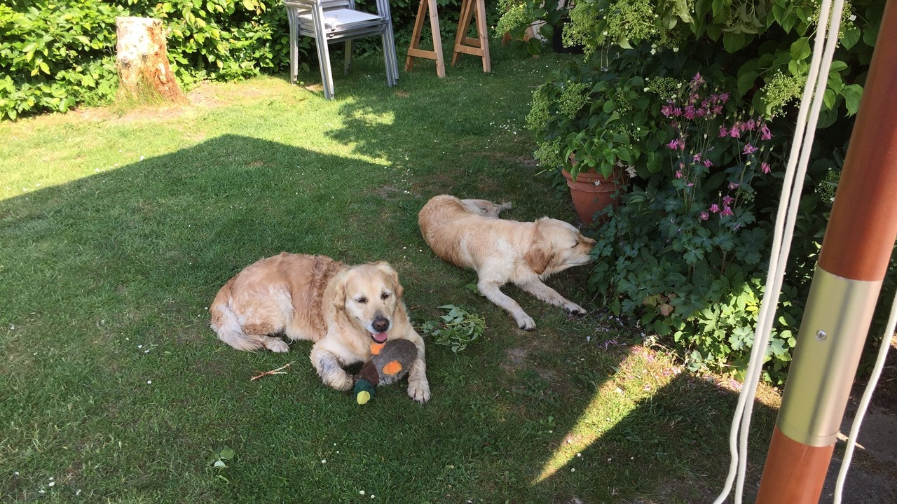 Photo of Outdoor in Gentofte Municipality