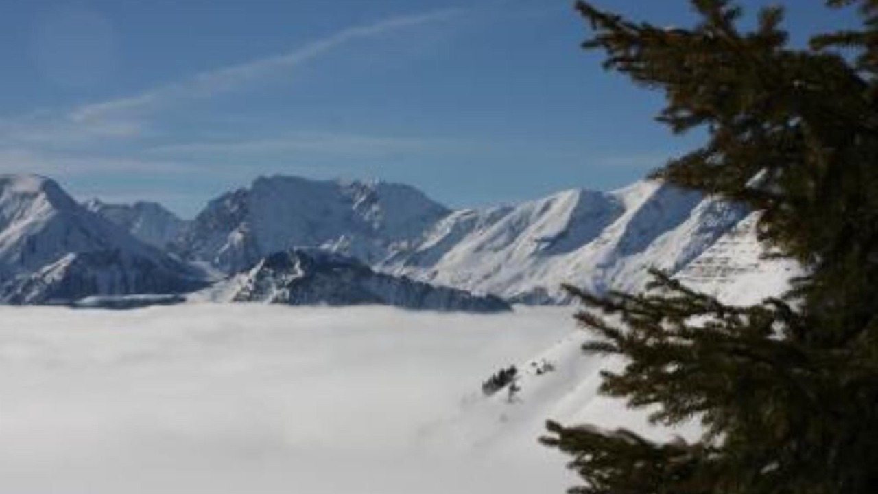 Photo of Others in Viel-Alpe
