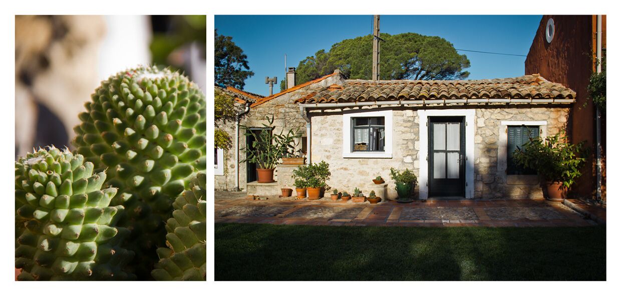 Photo of Outdoor in Sommieres