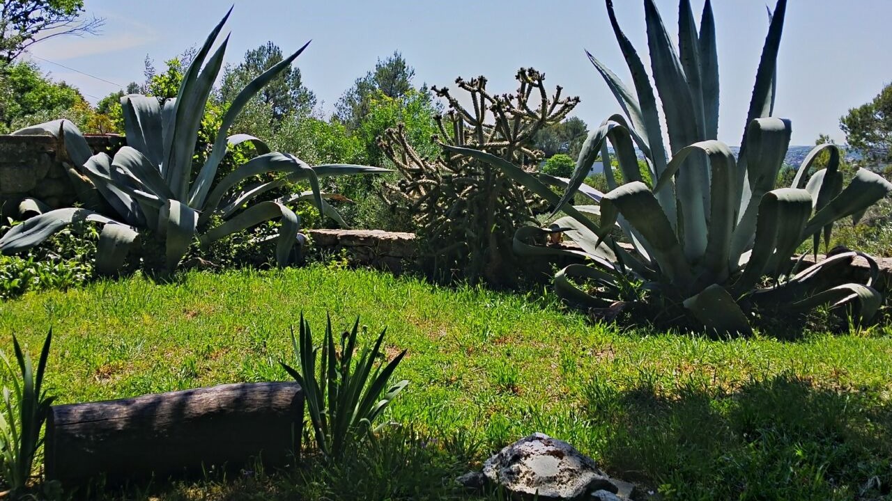 Photo of Outdoor in Sommieres
