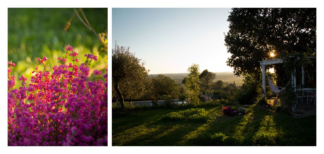 Photo of Outdoor in Sommieres