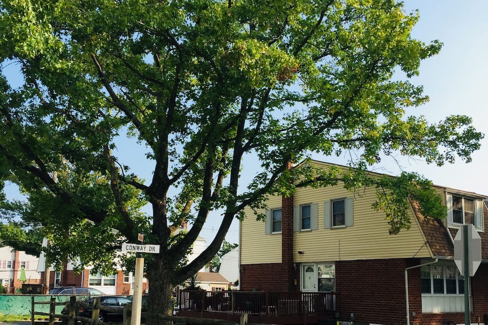 Photo of Others in Swarthmorewood