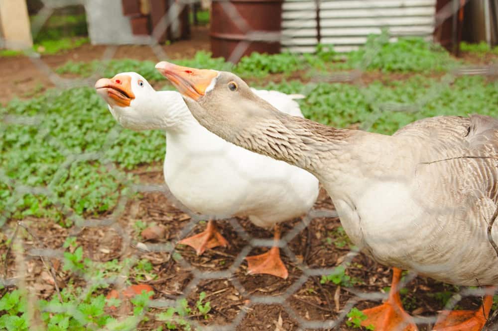 Photo of Outdoor in Bethany