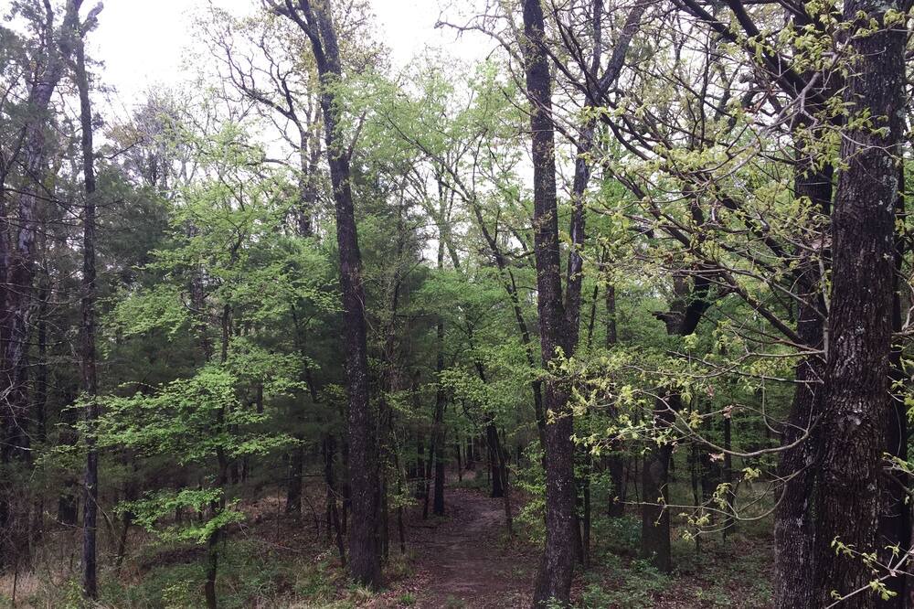 Photo of Others in Wills Point