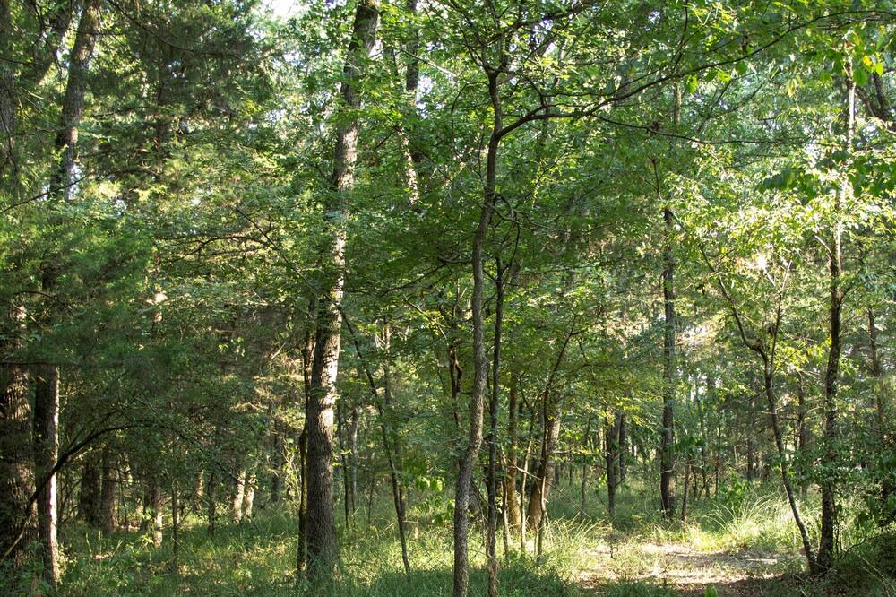 Photo of Others in Wills Point