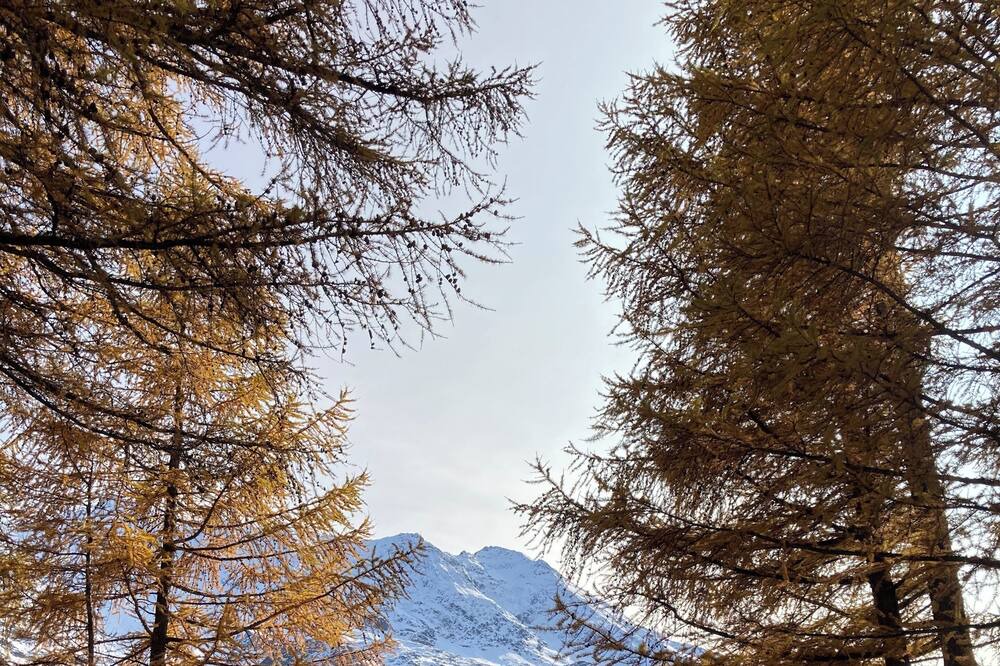 Photo of Outdoor in Wiler