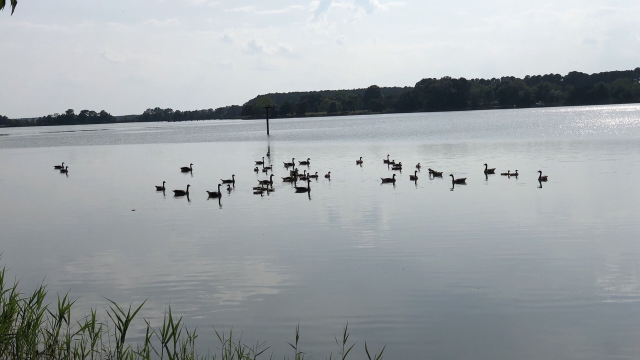 Photo of Others in Wittman