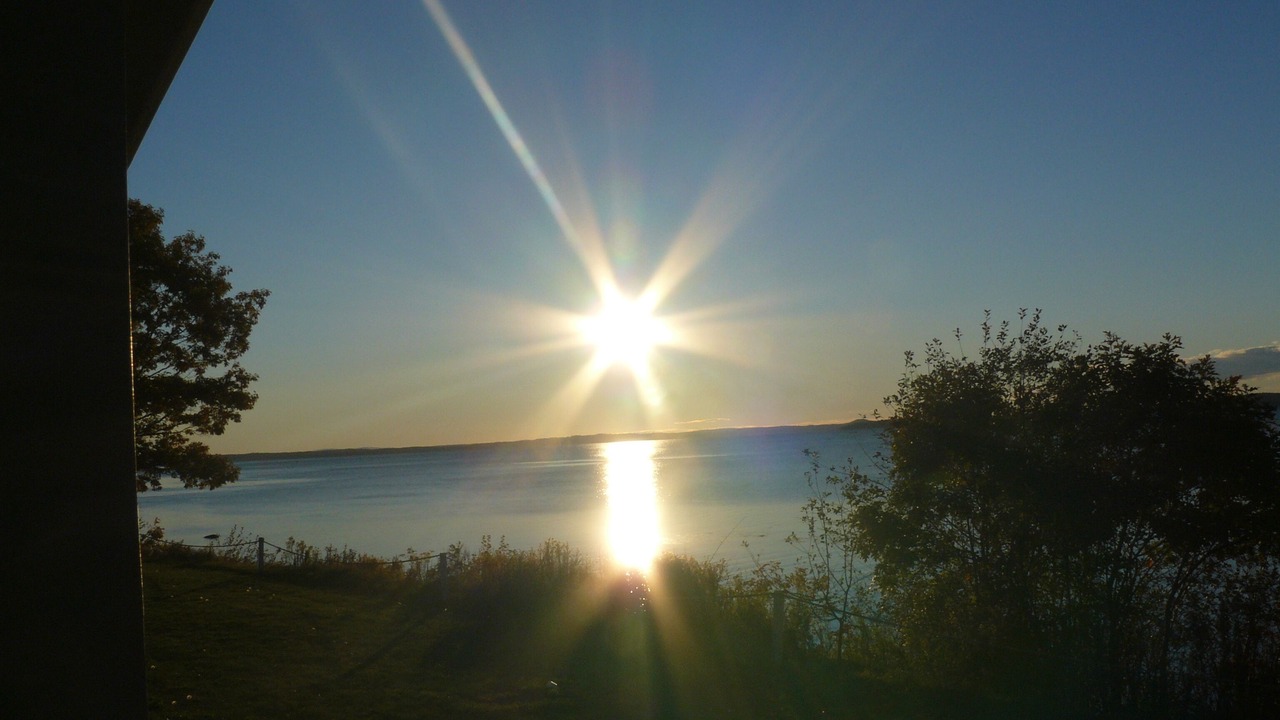 Photo of Others in Belfast